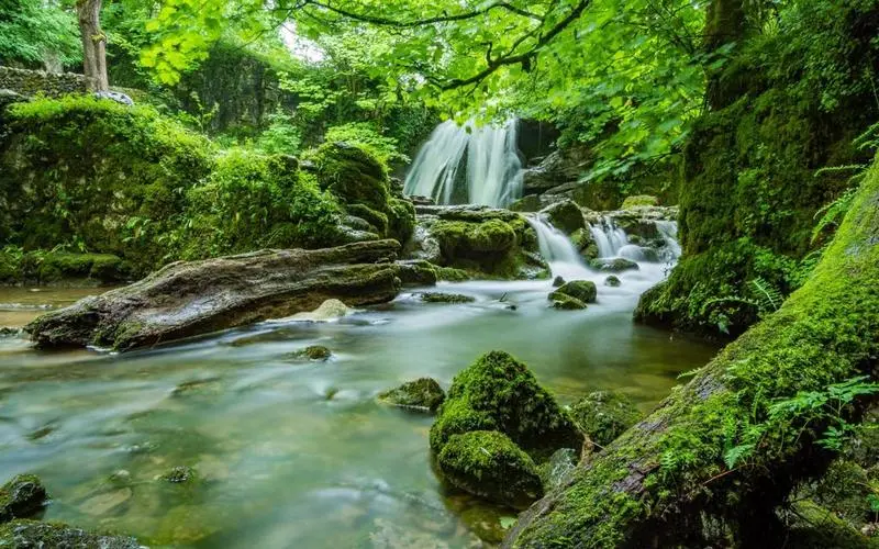 高标准先进
